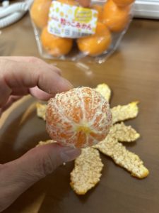 耳つぼダイエット通院中の生野区Kさんからみかん頂きました。