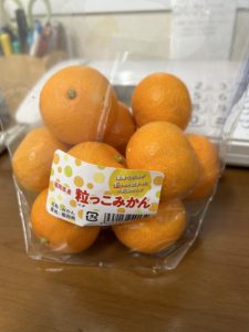 大阪天王寺耳つぼダイエット東洋スリムブログみかんのアルベドについて