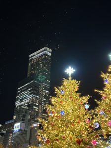 大阪天王寺の耳つぼダイエット東洋スリム藤岡鍼灸院ブログ