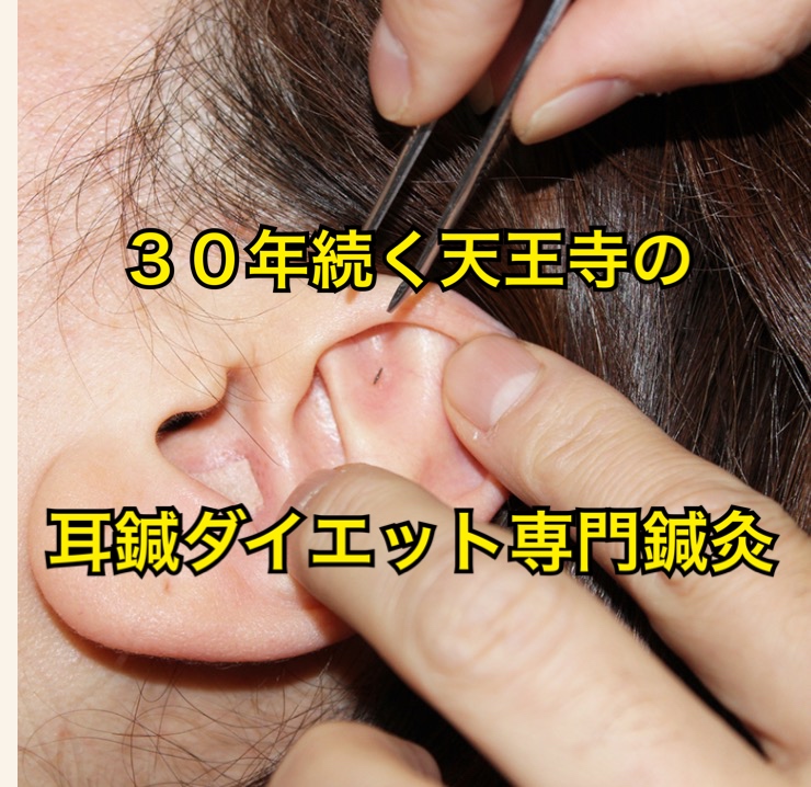 大阪天王寺の耳つぼダイエット専門鍼灸院東洋スリム藤岡鍼灸院