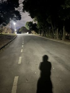 耳つぼダイエットブログ堺市大泉緑地ナイトランニング