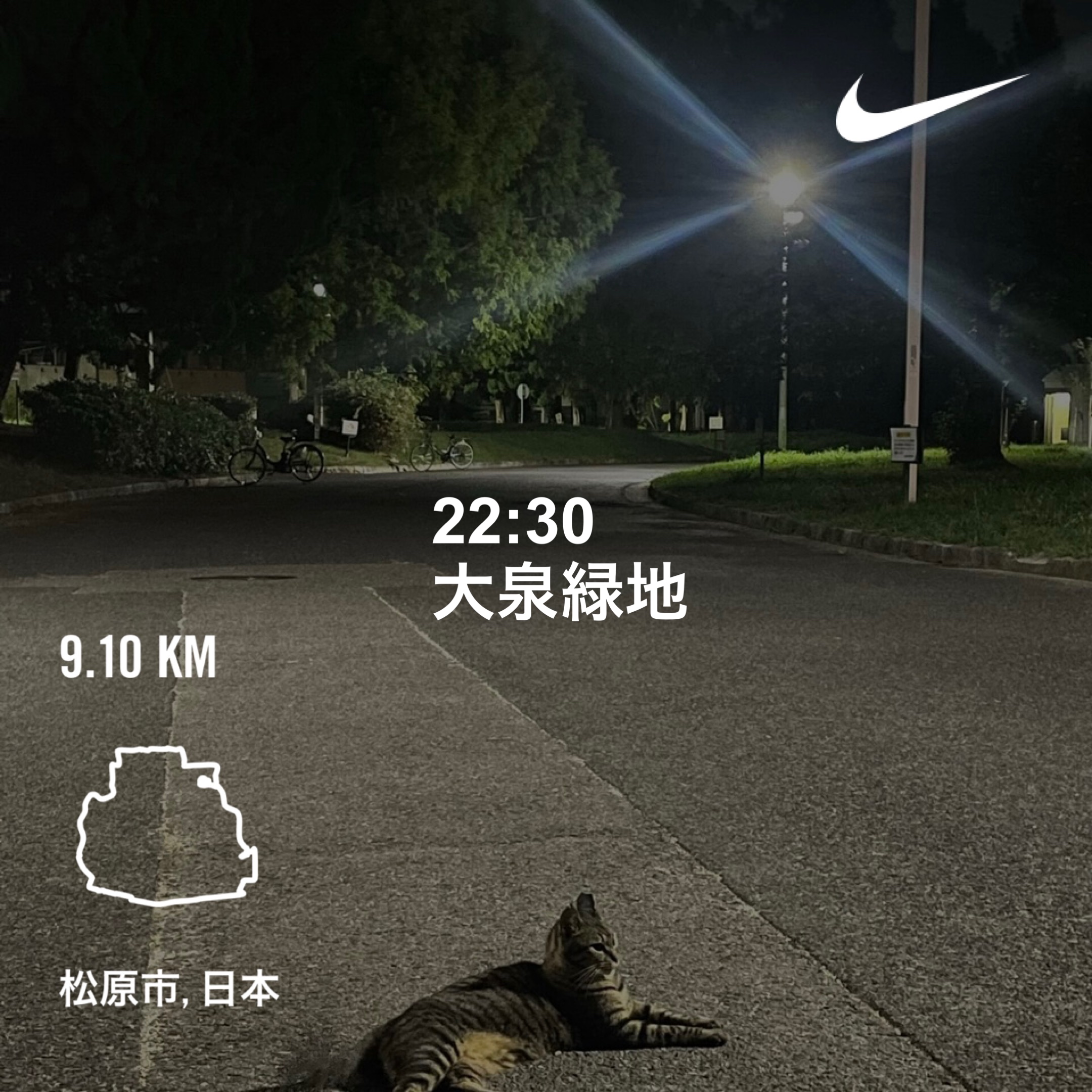 耳つぼダイエットブログ堺市大泉緑地ナイトランニング