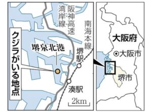 大阪耳つぼダイエットブログ堺駅から三国ヶ丘、新金岡ランニング。