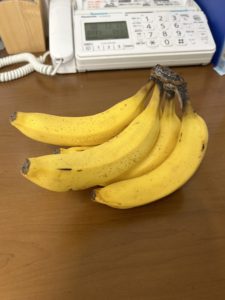 耳つぼダイエットブログ　生理前に痩せる方法