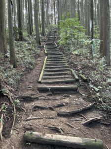 耳つぼダイエットブログ　大阪府太子町竹内峠から奈良県の葛城山へススキを見に行ってきました