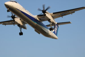 耳つぼダイエットブログ大阪伊丹空港、豊中市の千里川土手