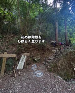 耳つぼダイエットブログ　河内長野市の岩湧山へ。
