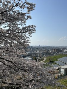 耳つぼダイエットブログ柏原市岩神社