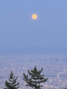 耳つぼダイエット大阪天王寺東洋スリム藤岡鍼灸院