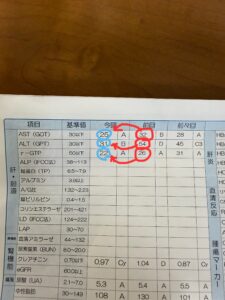 耳つぼダイエットブログ肝機能の数値が改善