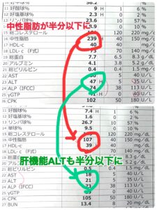 耳つぼダイエット専門東洋スリム藤岡鍼灸院、７kg痩せて肝機能、脂肪肝、中性脂肪が正常値に