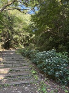 耳つぼダイエットブログ 東大阪市枚岡公園から生駒山へ