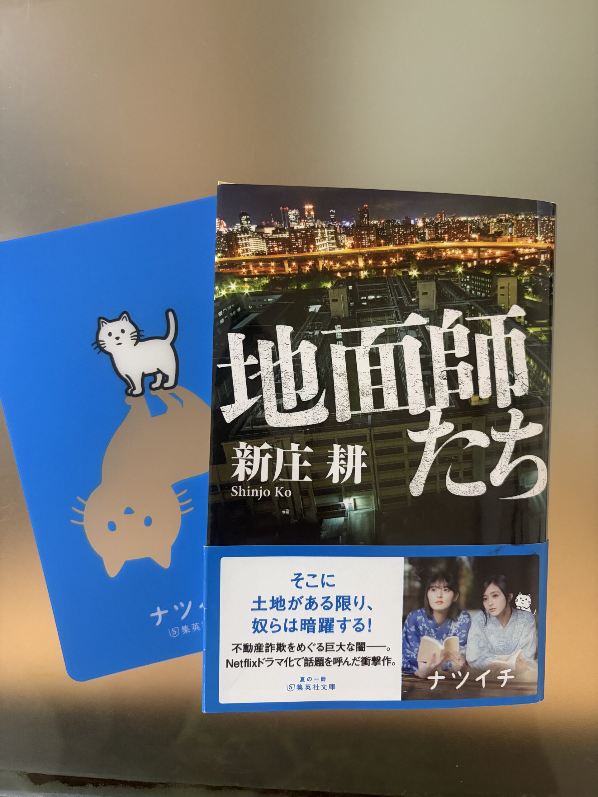 耳つぼダイエットブログ 大阪天王寺東洋スリム 月一読書地面師たち