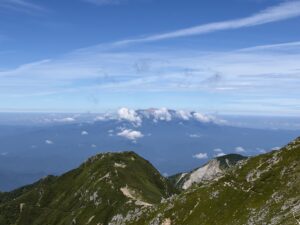 耳つぼダイエット大阪天王寺東洋スリム藤岡鍼灸院３３年記念特典８回施術無料券プレゼント