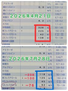 耳つぼダイエット2kg痩せたら中性脂肪、総コレステロール、LDLが正常値に